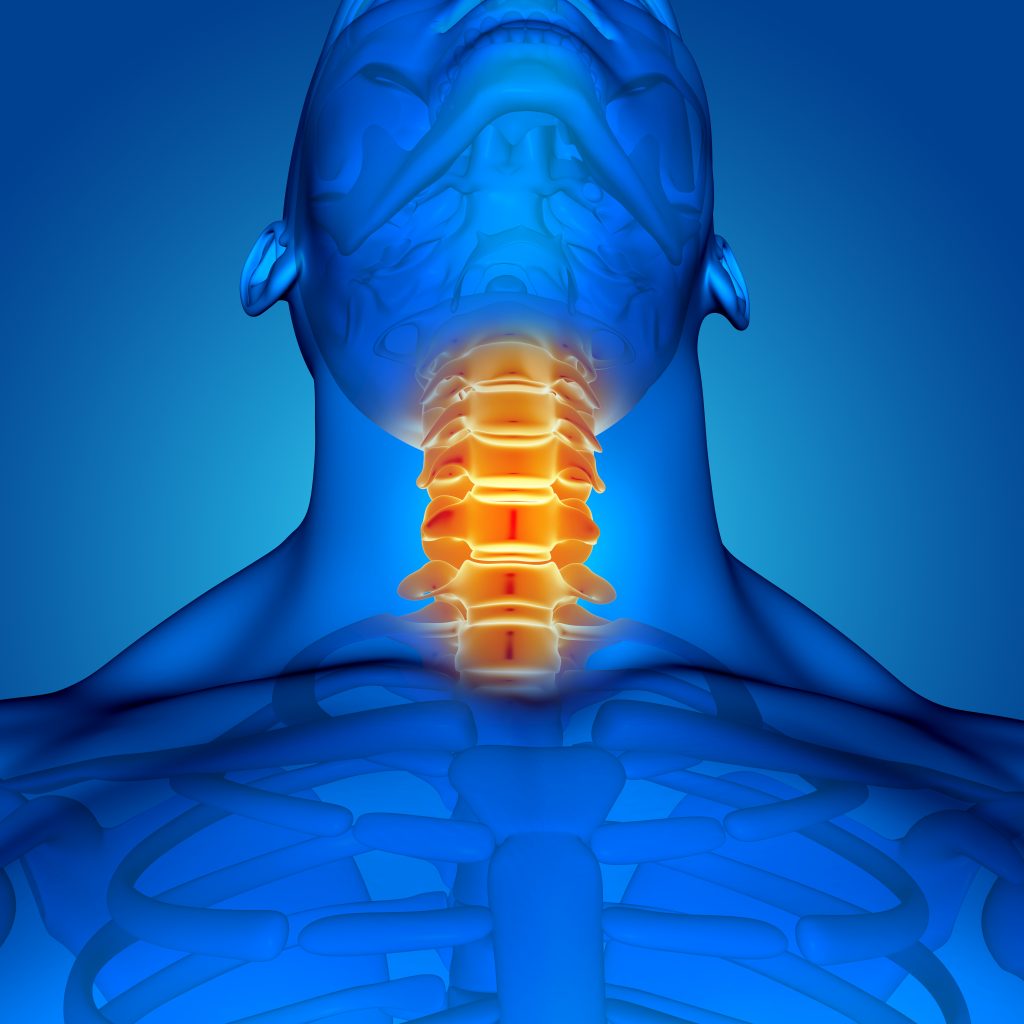 3d renter of a male medical figure with neck and bones