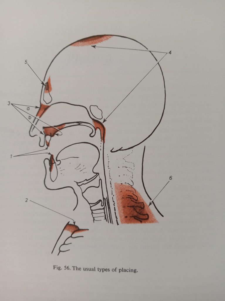 photo of inside of your mouth 